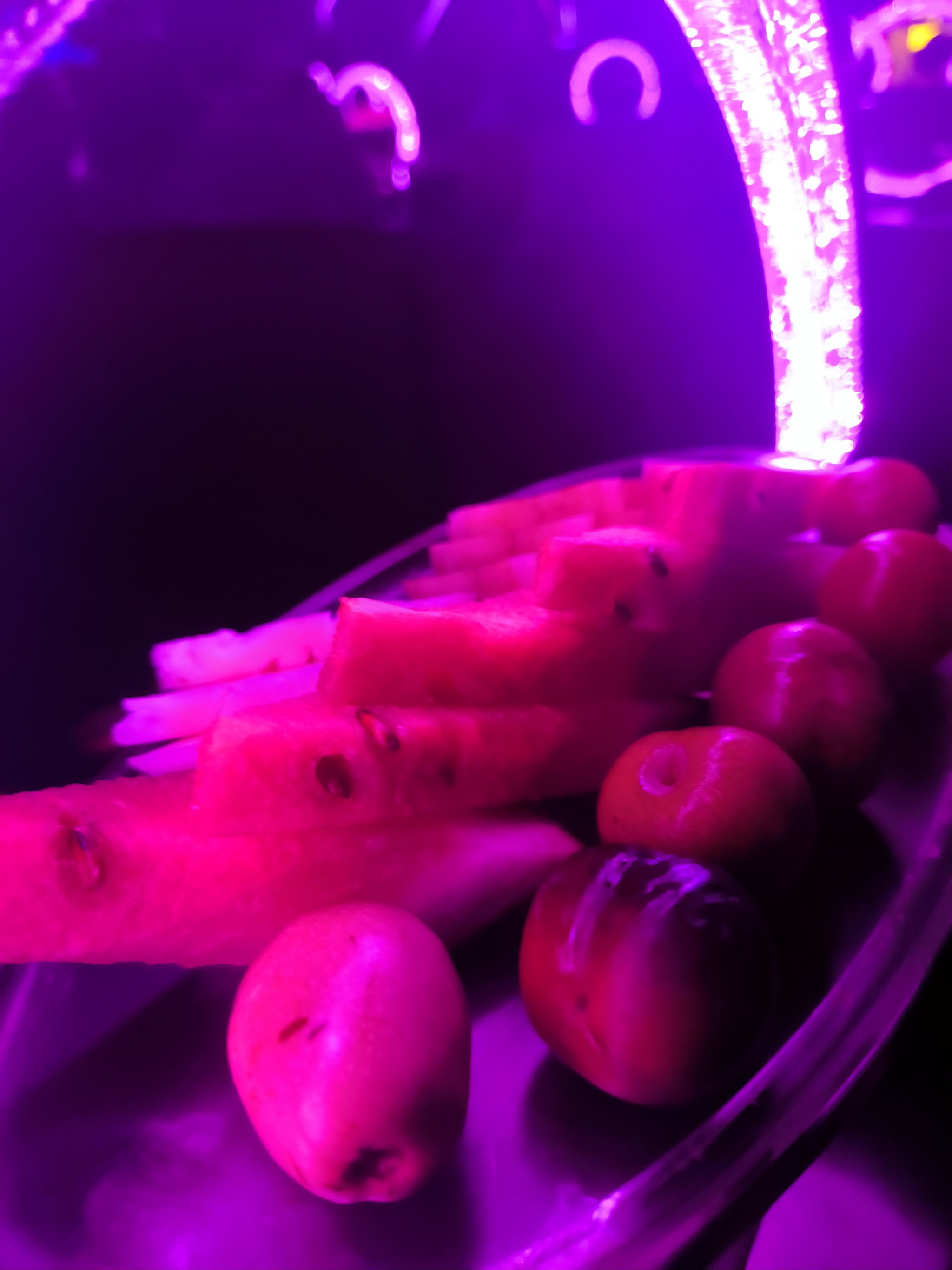 乐山商务ktv推荐及商务ktv有哪些-五通桥区ktv预定